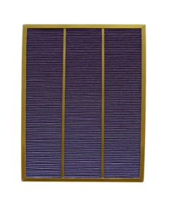 Coway Filter 3109130, AP-1008DH