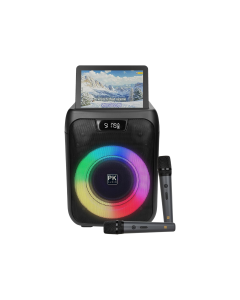 Platinum LX15 Built-in Karaoke Party Jukebox with Screen Display